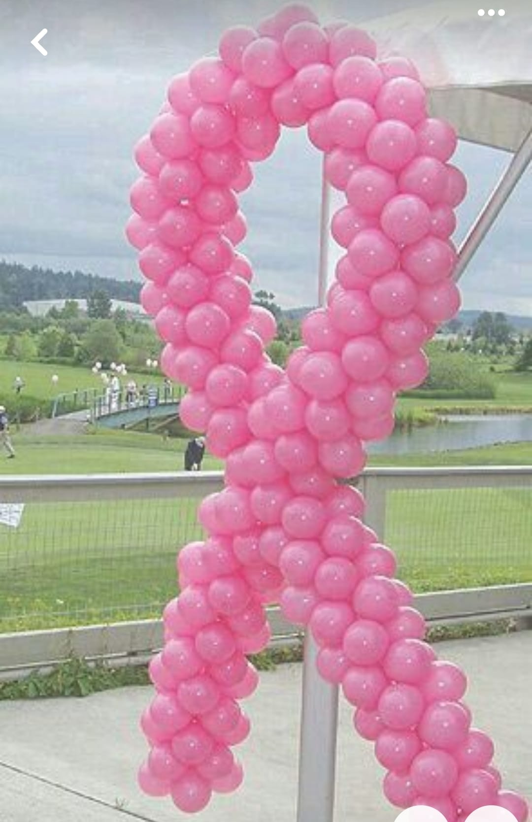 IMG-20241009-WA0019